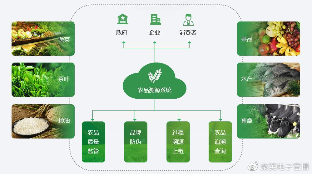 自动化与物联网如何革新现代农业生产模式