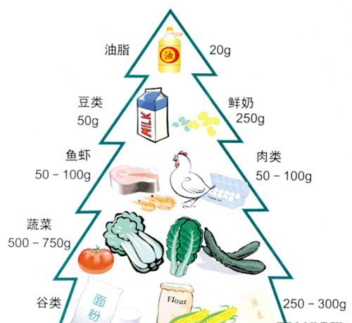 四季变化与饮食结构的调整策略