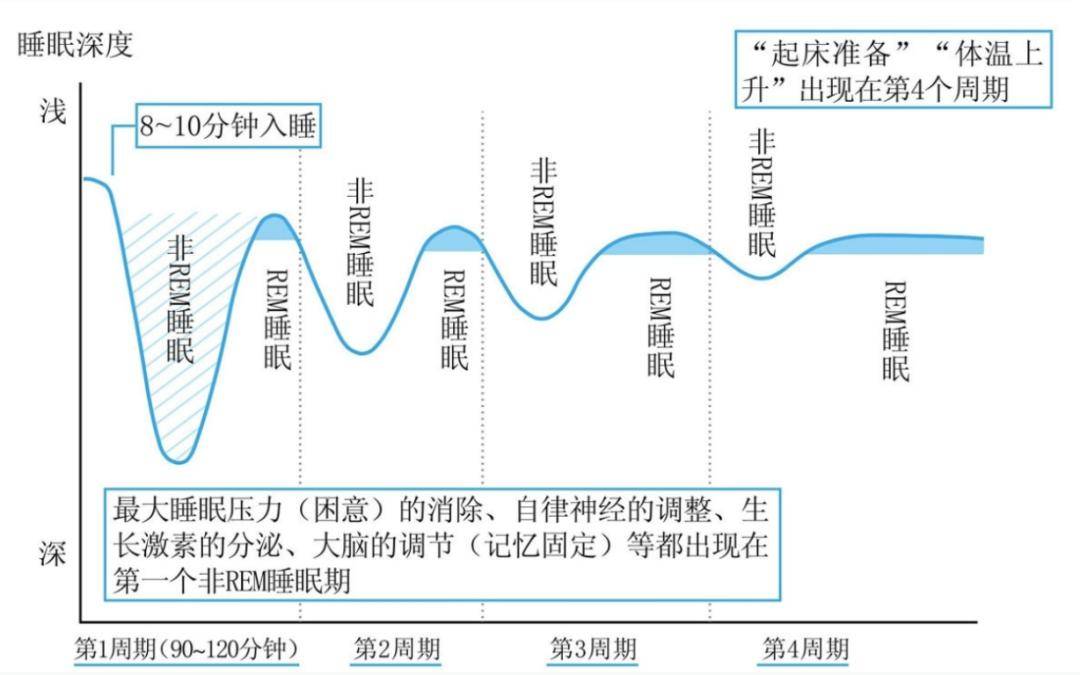 睡眠规律对早教效果的影响研究