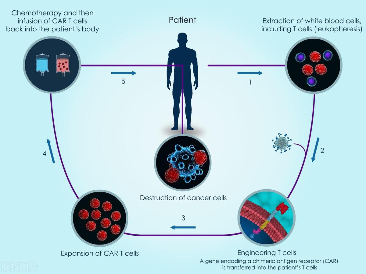 科学家发现癌症治疗新突破，解锁癌症治疗新可能