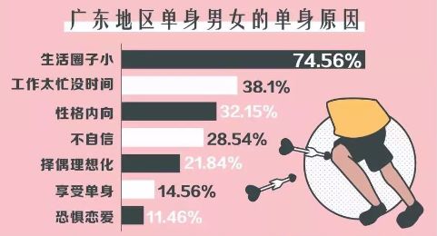 官方回应，单身男女信息库的可行性与影响探讨