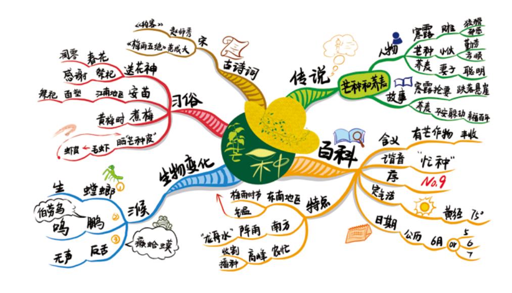 数据技术揭示传统文化历史演变轨迹的深层奥秘