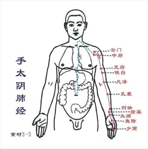 中医呼吸系统养生法，调理呼吸系统的健康之道