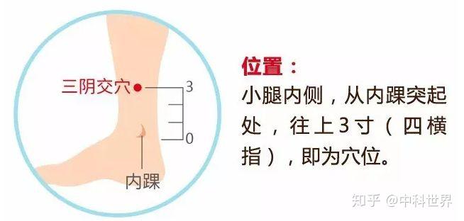 中医艾灸缓解背部疼痛的方法探究