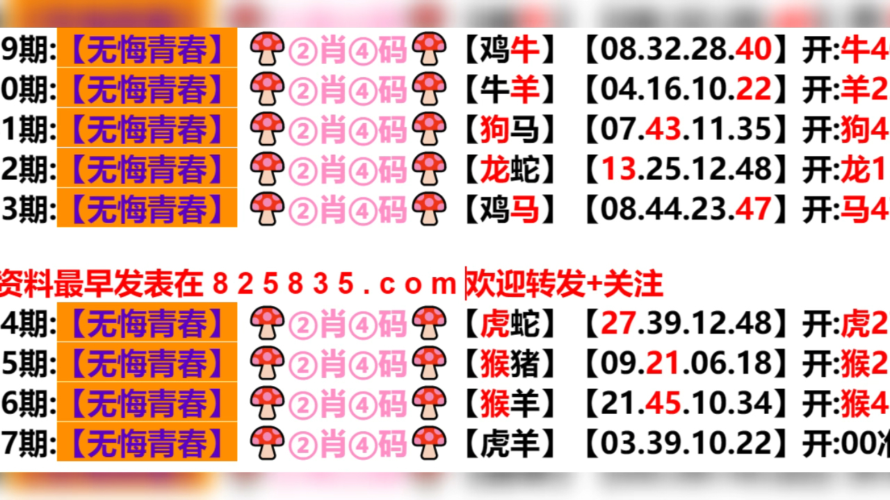 2024年12月16日 第28页