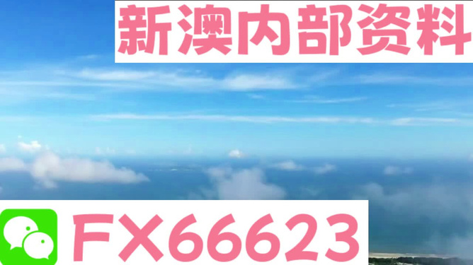 4949免费资料2024年,精细治理全链提效案_开启未来36.53.13