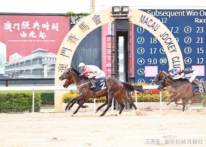 今晚澳门马出什么特马,加速技术变革革新_未来版61.33.33