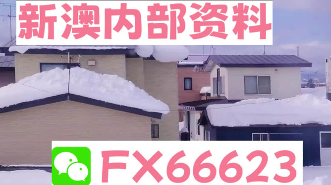 新澳内部一码精准公开,数字全域管理执行案_链接未来58.60.80