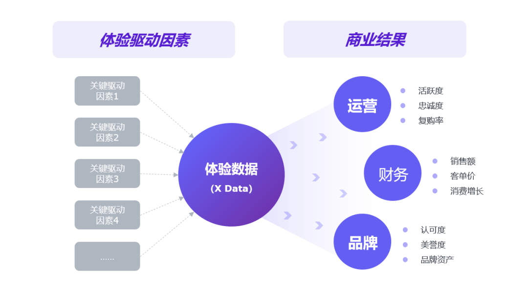 数字化体验，创新用户娱乐模式的新思路