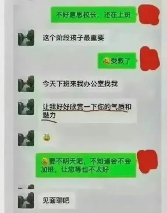 中学女副校长婚内出轨事件，伦理道德及公众监督的探讨