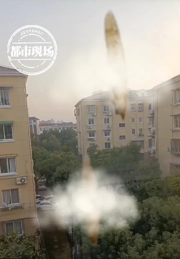 上海某小区高空抛大便现象，城市管理的挑战与应对反思