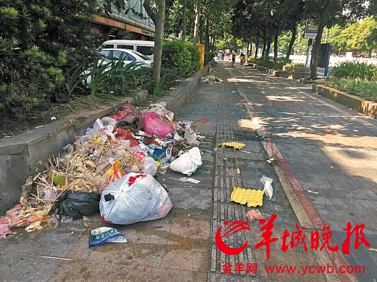 环卫工被欠薪引发停工潮，城市清洁面临严峻挑战