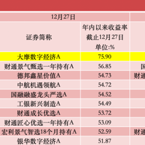 公募年度冠军基已锁定，投资策略与市场深度洞察