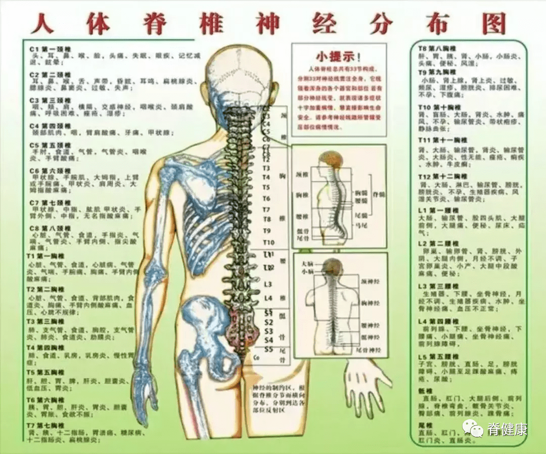 旅行中如何缓解脊椎疲劳的有效方法