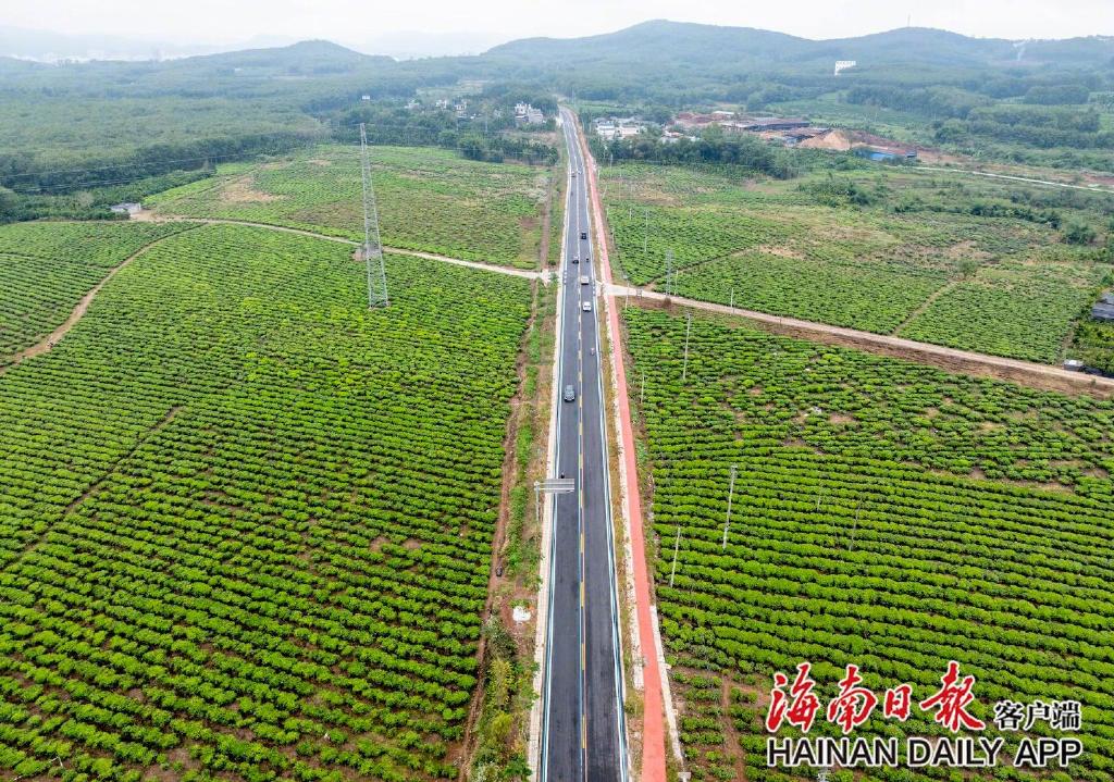 环热带雨林公园旅游公路开通，解锁自然美景的新通道