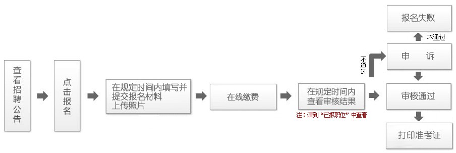 青海省事业单位考试报名流程详解与步骤指南