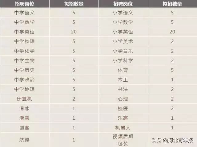 2024年事业编制招聘岗位表深度解析与探讨