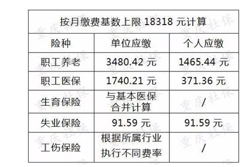 事业编制缴费基数详解，含义与重要性解析