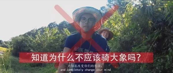 小伙罗马许愿视频引发盗窃风波，旅行中的意外教训